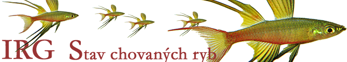 IRG Fischbestand