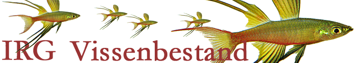 IRG Vissenbestand