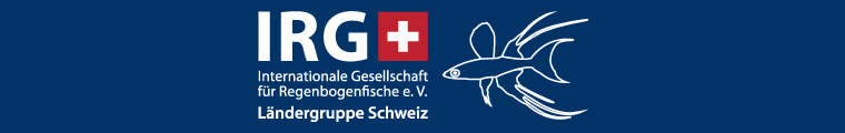 www.irg-schweiz.ch